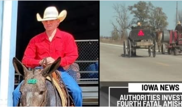 Clarke County Community Mourns Young Elmer Borntrager After Hit-and-Run Horse-Drawn Buggy Crash